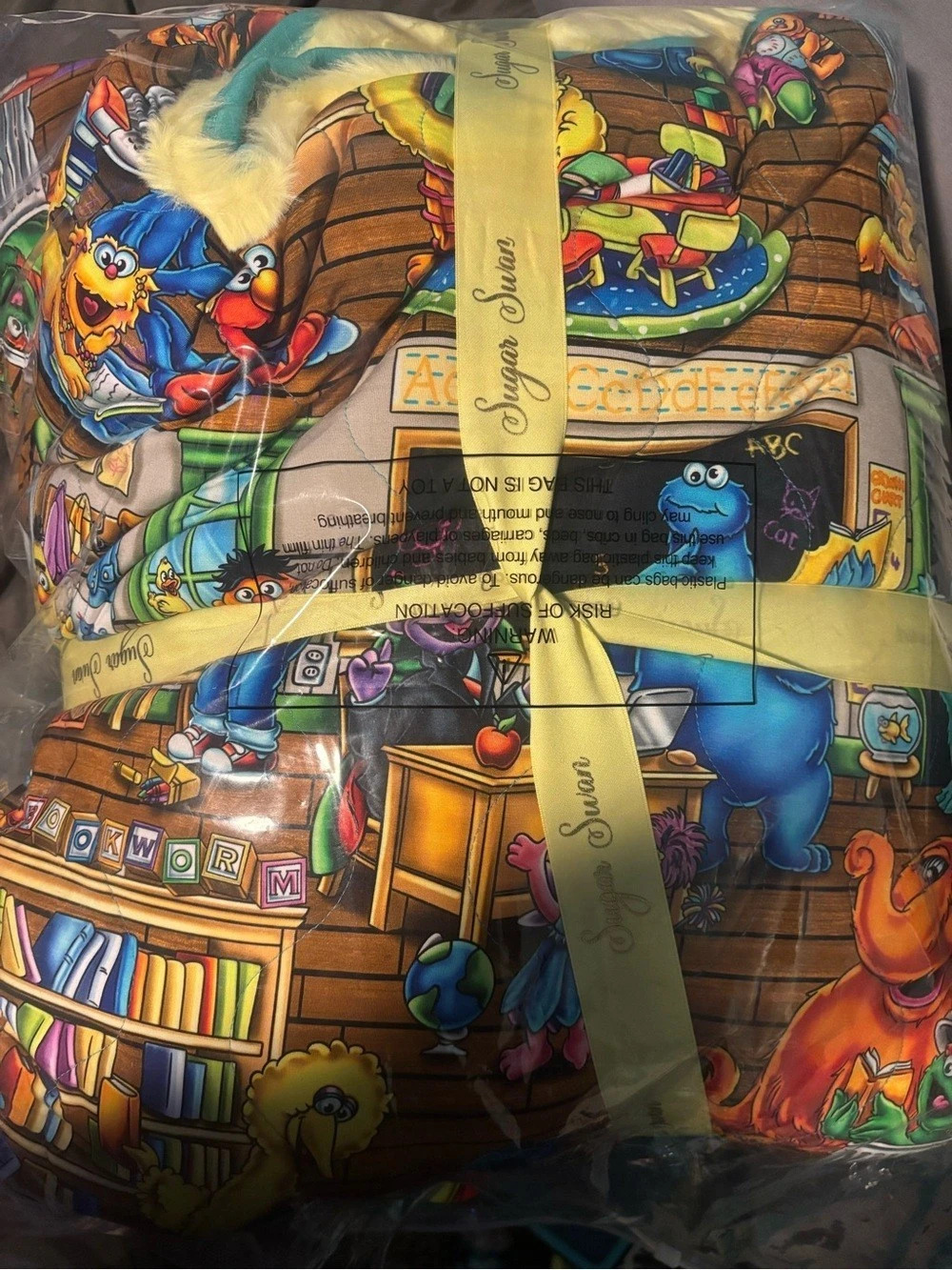 Sugar Swan Sesame Street Classroom Bamboo minky 90x65